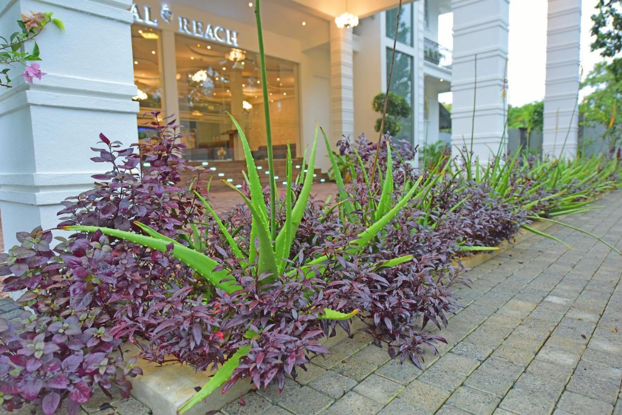 Royal Reach Udawalawe Ξενοδοχείο Εξωτερικό φωτογραφία